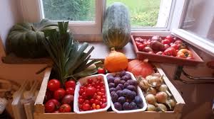 Cette action est à vocation sociale, environnementale et économique. Operation Du Jardin A L Assiette Les Jeunes De Grandir Dignement Cuisinent Grandir Dignement