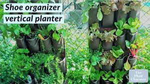 See more ideas about door shoe organizer, small garden, shoe organizer. Growing In Shoe Organizer Vertical Planters Part 1 Youtube