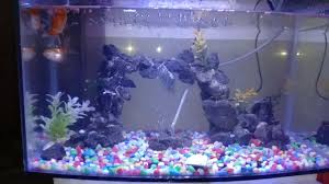 Aquarium unik dari jam rusak. Aquarium Unik Home Facebook