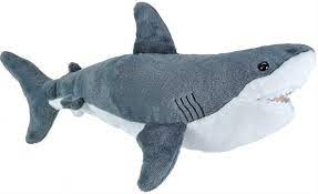 Pin On Wishlist
