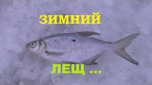 Rybalka V Sibiri Na Obi Zimoj Video Zimnej Rybalki Na Obi
