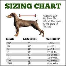 Sizing Chart Knit Dog Sweater Dog Sweaters Crochet Dog