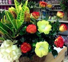Saunders funeral home & florist. About Us The Flower Connection Jacksonville Nc