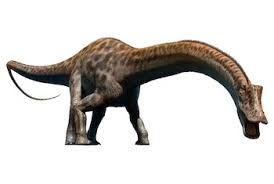 Early artists' renditions of diplodocus' posture depict a straddling gait, with the legs put out to the side and belly dragging along the ground. Diplodocus Wild Republic