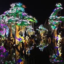 Dubai Garden Glow Dubai Dubai Garden Organic Raised Garden Beds Palm Beach Gardens