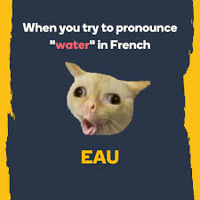 Memrise If There S One Thing We Know About French Pronunciation It S That It Can Be Challenging When In Doubt Just Pull A Silly Face Or Try To Imitate The Famous Coughing