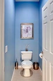 Separate Toilet Room Design Ideas Pictures Remodel And Decor Toilet Room Decor Toilet Room Small Toilet Room