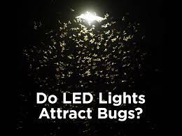 Do Led Lights Attract Bugs 1000bulbs Com Blog