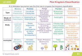 Learnhive Cbse Grade 9 Science Diversity In Living