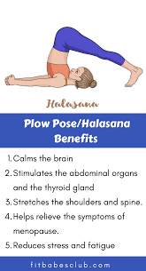 How To Do Plow Pose And Benefits Yoga Fitness Easy Yoga Workouts Yoga Information