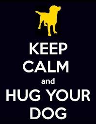 How to reduce the risk of cancer in your dog or cat. Twitter Coolpeopleshop Funny Dogs Http T Co Jvv65hruhd I Love Dogs Dog Quotes Dogs