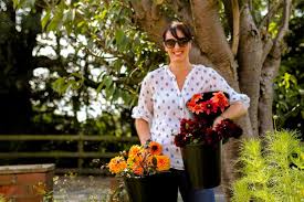 Emma S Wild Garden Home Facebook