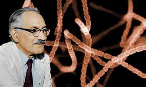 After tasting success, mario selman started collaborating with other artists of his age. Selman Waksman Biography Facts And Pictures
