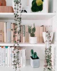 Maybe you would like to learn more about one of these? String Of Hearts Complete Care Guide That Planty Life