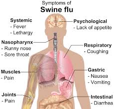 file symptoms of swine flu png wikimedia commons