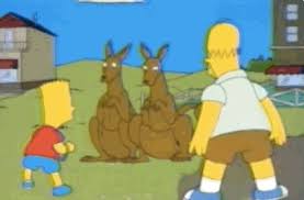 Australians Don T Actually Ride Around In Kangaroos The Simpsons Simpson Kangaroo