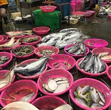 Under alaska's health advisories 1, 2, 3, and 4, commercial fishing is an essential business and is part of alaska's essential services and critical infrastructure. Senoko Fishery Port Singapore S Own Tsukiji Fish Market In Sembawang