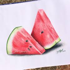 Realistic Watermelon Drawing By Jess Elford Drawn With Prismacolor Pencils Fruit Art Drawings Watermelon Drawing Color Pencil Drawing