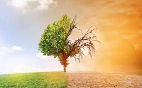 Le réchauffement climatique aura des conséquences tragiques pour les fleuves, puisque, selon le groupe d'experts intergouvernemental sur l'évolution du climat. Quelles Sont Les Consequences Du Rechauffement Climatique