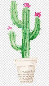 𝑒𝓂𝒾𝓁𝓎 𝓀𝒾𝓂🌊 (very short hiatus) on. Cactus Illustration Cactaceae Succulent Plant Watercolor Painting Printmaking Sen Department Aesthetic Cactus Painted Hand Png Pngegg
