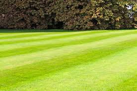This gives us the added advantage of knowing exactly what you need to fix your problems and keep your property looking. Lawn Care West Falls Orchard Park Hamburg Ny Haskell Tree Service Inc