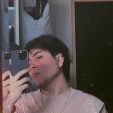 Can UAD plugins be used without an interface connected?