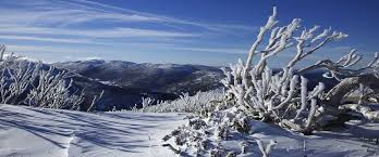 Australia Isn T Known For World Class Snow But As A Kid I Had Countless Fun Snow Trips To Perisher Making Li Australia Tourism Wales Vacation New South Wales