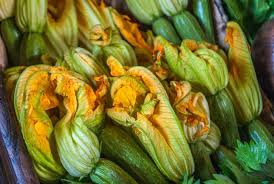 However, dudash notes that yellow squash contains a lot more seeds than zucchini, giving it a slightly higher fiber content. Stuffed Zucchini Flowers Delicious Recipe My Travel In Tuscany