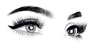 We did not find results for: Lashes Png Transparent Images Eyelashes Clipart Download Free Transparent Png Logos