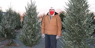 Check spelling or type a new query. C Ville Weekly A Christmas Tree Story The Casons Have Been Selling Holiday Happiness For More Than 100 Years