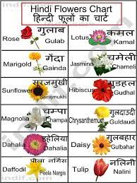 Pin By Pauline Kivach On Flowers Hindi Language Learning Indian Flower Names Flower Chart