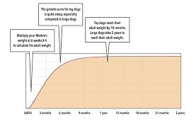 How Big Will My Puppy Get How Much Will My Puppy Weigh