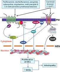 Image result for Dexfenfluramine