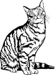 51 top idees tutos de dessins chat pour apprendre a dessiner un en 2021 dessin colorier coloriage poney magique