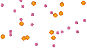 Pin By Pramod On Transparent Background Gif Animated Gif Transparent Background Transparent