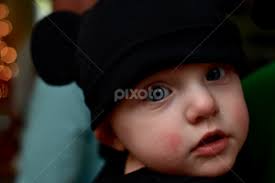 Stock Image Search Results