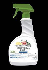Insecticidal soap is much different than detergent! Insecticidal Soap Insect Control For Organic Gardening
