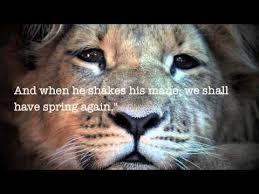 Our next book & movie of 2019 is the lion , the. The Lion The Witch And The Wardrobe Book Trailer Cat Photography Wild Cats Narnia