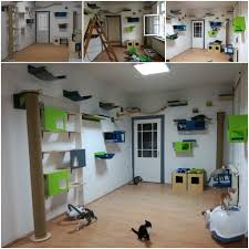 This Was A Pro Bono Side Project We Did For A Local Ngo Called Udruga 9 Zivota A Group Of Volunteers That House Chambre A Theme Chat Mobilier Pour Chat Maison