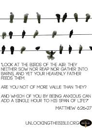 Look At The Birds Of The Air Esv Pin On Faith Inspiration