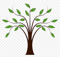 Find & download free graphic resources for transparent. Tree Clip Art For Kids Palm Tree Clipart No Background Stunning Free Transparent Png Clipart Images Free Download