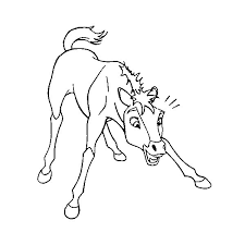 Lego star wars coloring pages free. Spirit Stallion Coloring Pages