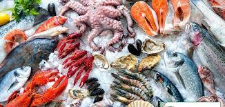 Kho lạnh bảo quản hải sản