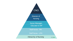 A caring and compassionate nature, and the ability to deal with emotionally charged and pressured situations. The Hierarchy Of Nursing Freshrn