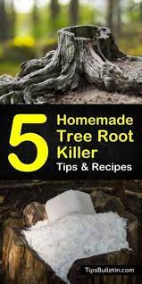 Pin On Hometalk Spring Inspiration