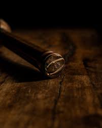 Image result for Copper Light 1972 Montgomery Ward