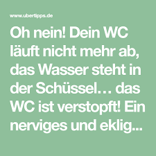 Oh Nein Dein Wc Lauft Nicht Mehr Ab Das Wasser Steht In Der Schussel Das Wc Ist Verstopft Ein Nerviges Und Ekliges Probl Wc Laufen Haushalts Tipps Hausputz