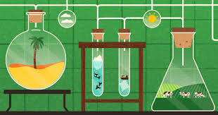Our online climate change trivia quizzes can be adapted to suit your requirements for taking some of the top climate change quizzes. Quiz How Much Do You Know About Climate Change The Washington Post