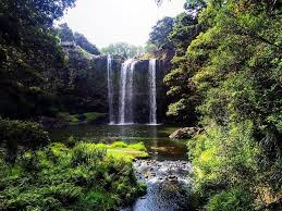 We take a side trip to visit sitting bull falls in new mexico. Mesmerising Waterfalls In New Zealand New Zealand