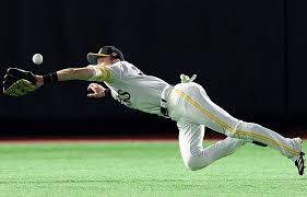 News source: 西スポWEB OTTO!
